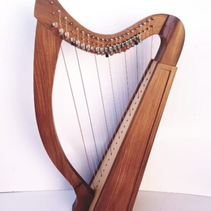 New 22 Strings Celtic Irish Lever Harp